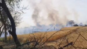 महोबा में बिजली विभाग की लापरवाही, देखते ही देखते गेहूं की फसल खाक