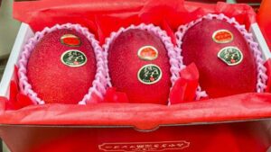 लाखों का आम! कीमत सुनकर चौंक जाएंगे, स्वाद में भी सबसे अलग